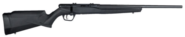 Savage Arms-B17 F COMPACT